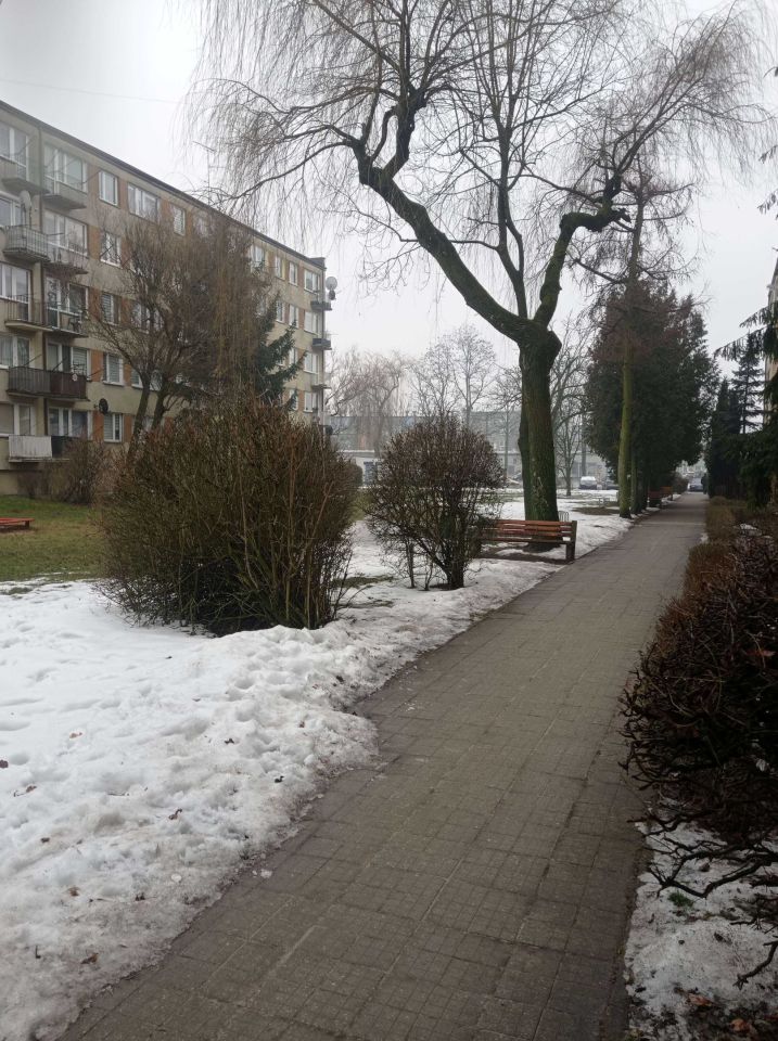 Mieszkanie 3-pokojowe Radomsko Centrum, ul. Jagiellońska. Zdjęcie 5