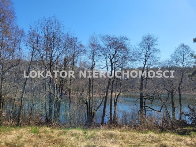 Działka rekreacyjna Głubczyn. Zdjęcie 15