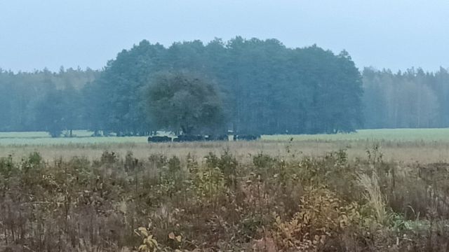 Działka leśna Werstok. Zdjęcie 1
