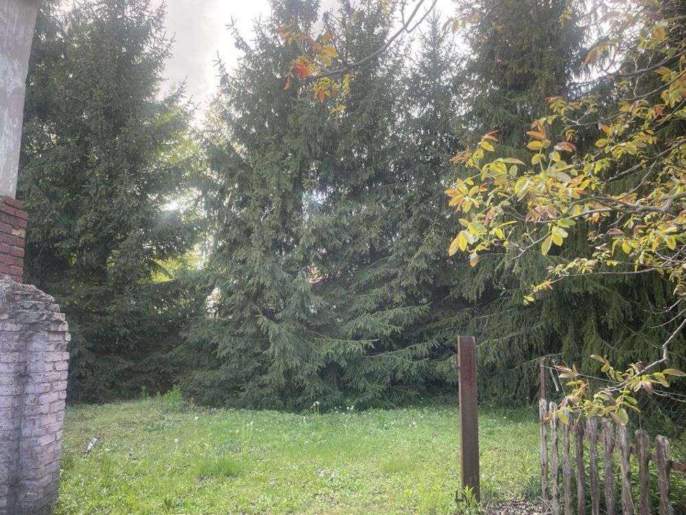 Działka budowlana Kozerki, ul. Jowisza. Zdjęcie 2