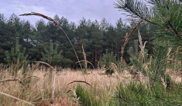 Działka budowlana Radzyny