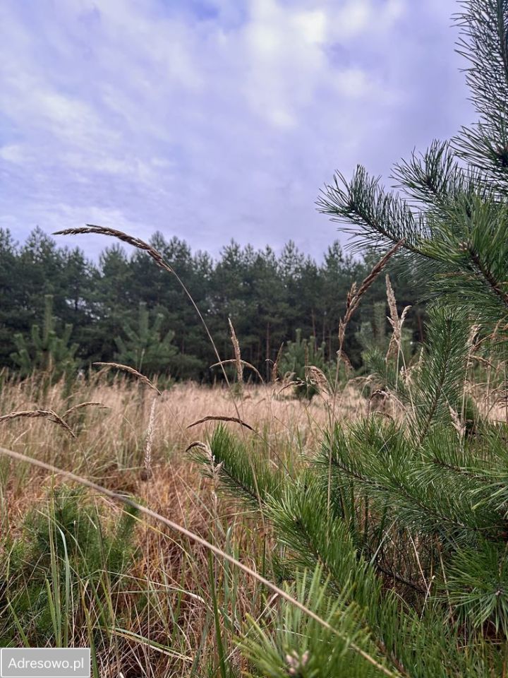 Działka budowlana Radzyny. Zdjęcie 2