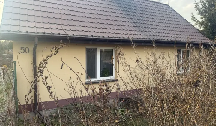 dom wolnostojący Płońsk