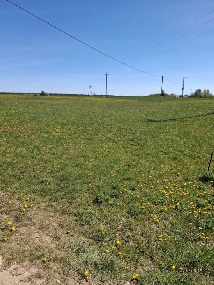 Działka budowlana Jabłońskie. Zdjęcie 1