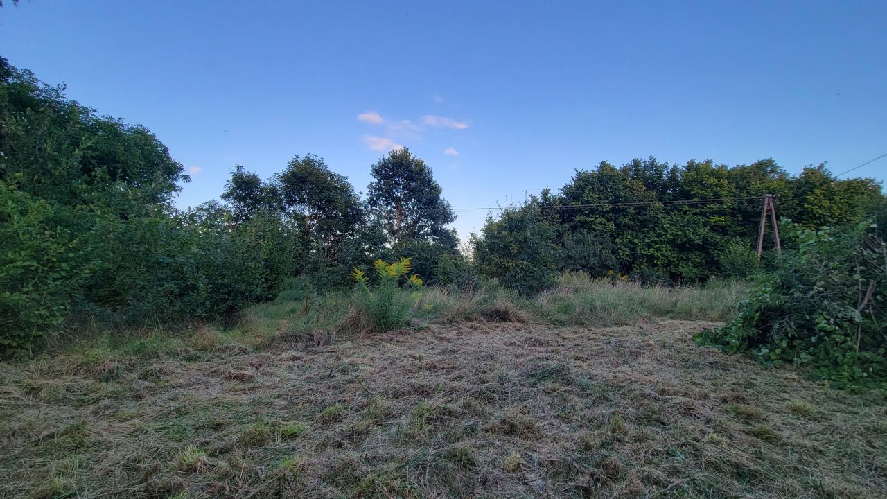 dom wolnostojący, 2 pokoje Głodowo. Zdjęcie 3