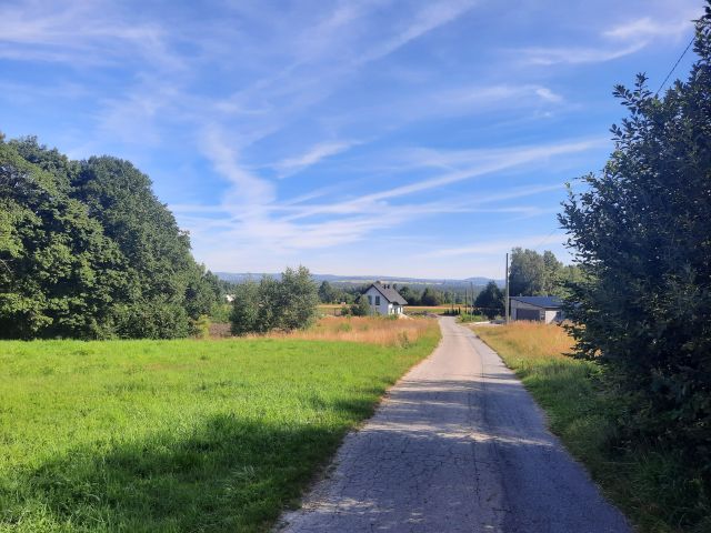 Działka rolno-budowlana Małobądz Pniaki, ul. Leśna. Zdjęcie 1