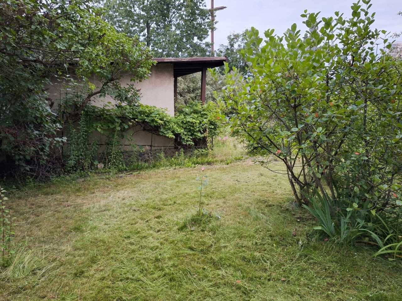 Działka rod Warszawa Praga-Południe