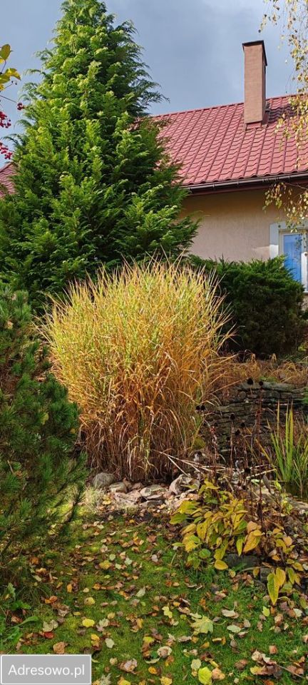 dom wolnostojący, 5 pokoi Parszów. Zdjęcie 20