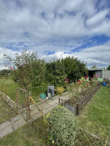 Działka rod Witkowo. Zdjęcie 1