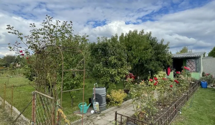 Działka rod Witkowo