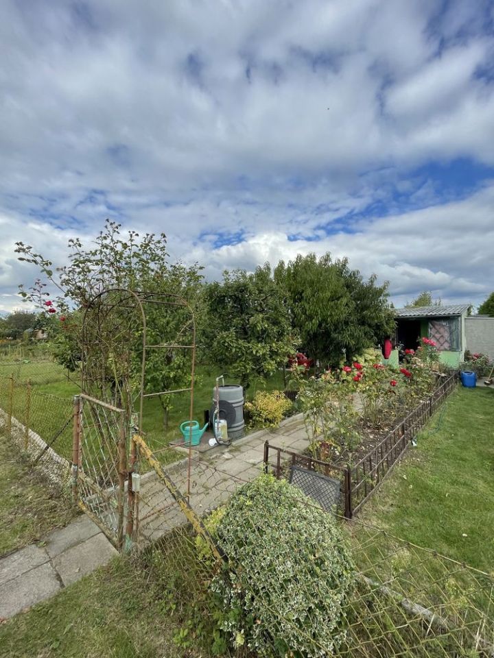 Działka rod Witkowo. Zdjęcie 1