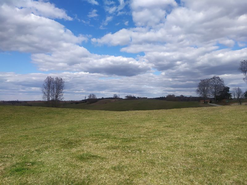 Działka rolno-budowlana Królowa Wola. Zdjęcie 2