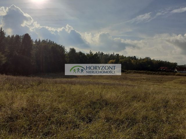 Działka budowlana Banino. Zdjęcie 4