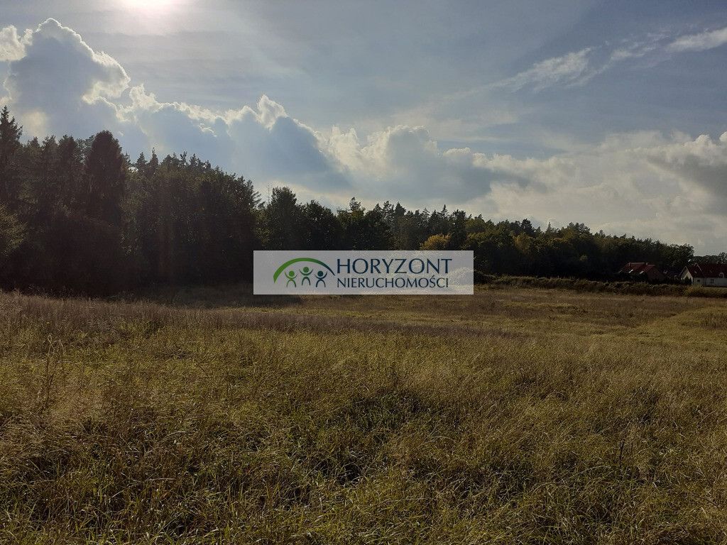 Działka budowlana Banino. Zdjęcie 4