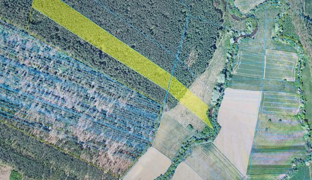 Działka leśna Borownia. Zdjęcie 1