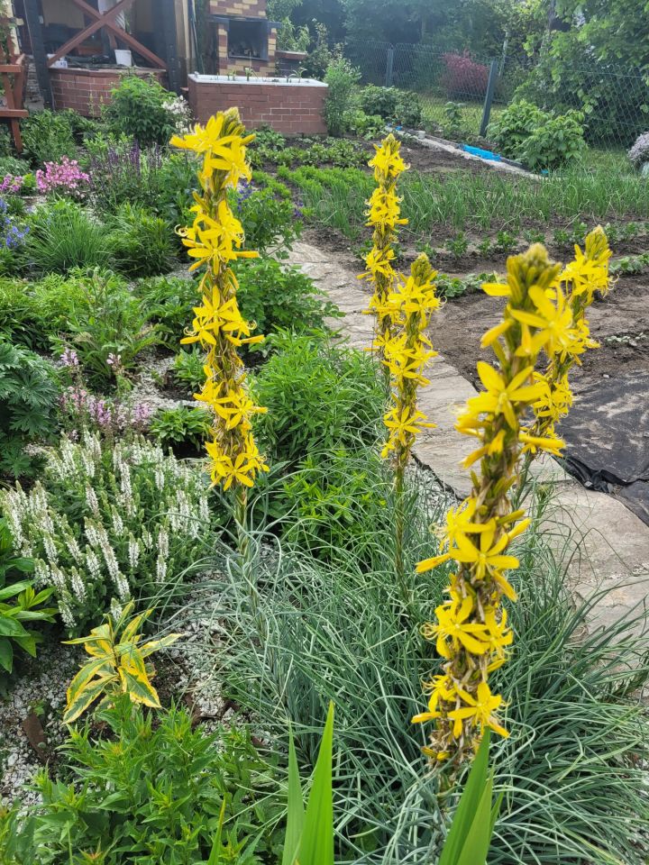 Działka rekreacyjna Wrocław Fabryczna, ul. Wojanowska. Zdjęcie 19