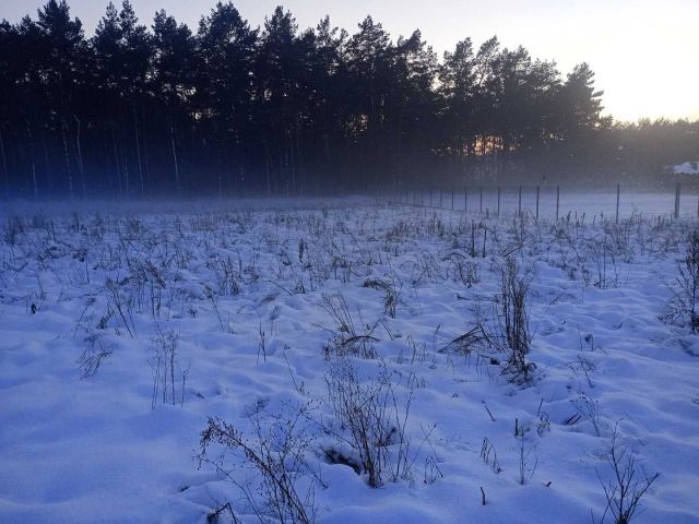 Działka budowlana Osiek nad Wisłą, ul. Obrowska. Zdjęcie 1
