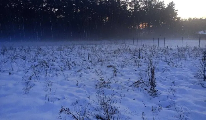 Działka budowlana Osiek nad Wisłą, ul. Obrowska