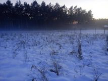 Działka budowlana Osiek nad Wisłą, ul. Obrowska