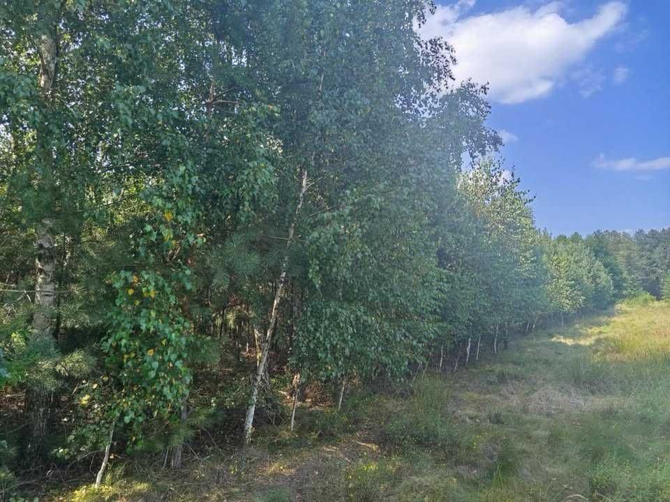 dom wolnostojący Wólka-Folwark. Zdjęcie 8