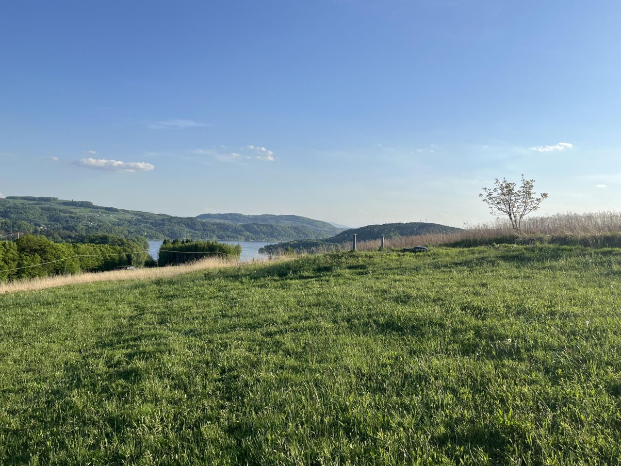 Działka budowlana Rożnów Wiesiółka. Zdjęcie 4