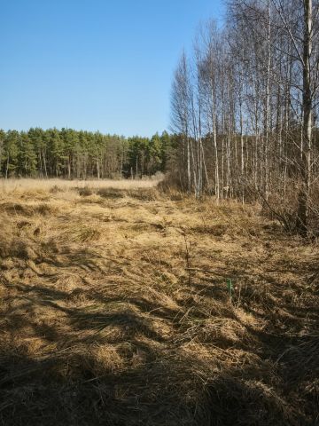 Działka budowlana Borucza Paluchy. Zdjęcie 1