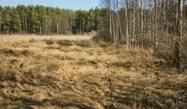 Działka budowlana Borucza Paluchy