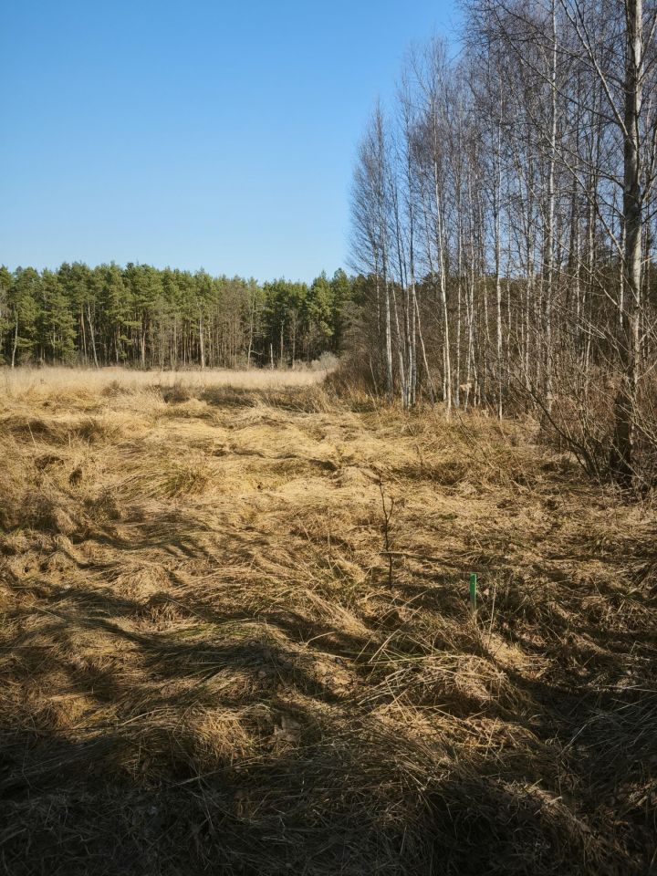 Działka budowlana Borucza Paluchy. Zdjęcie 1