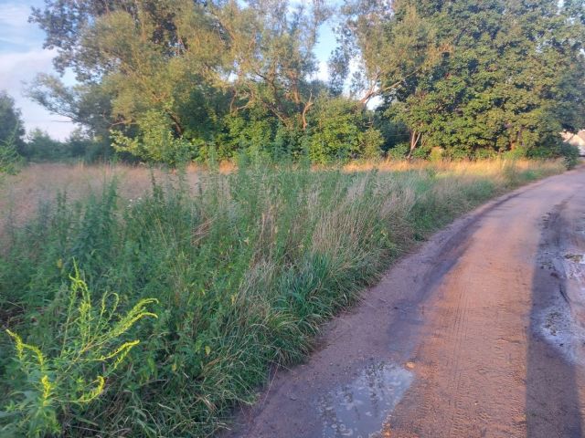 Działka rolna Ostrówek. Zdjęcie 1