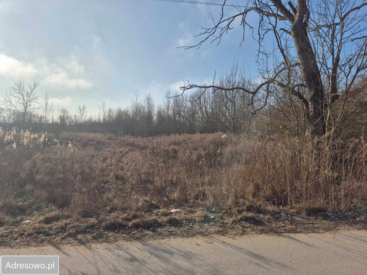 Działka budowlana Sobolewo. Zdjęcie 6