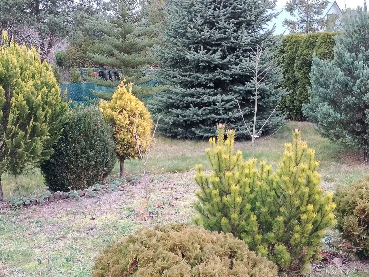 Działka rekreacyjna Styrzyniec. Zdjęcie 4