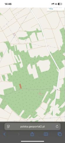 Działka leśna Giedlarowa. Zdjęcie 1