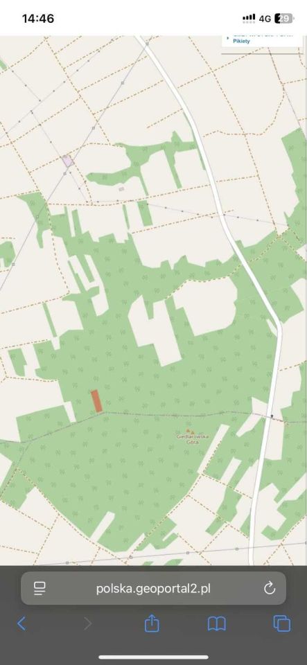 Działka leśna Giedlarowa