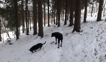 siedlisko, 2 pokoje Szczytna, ul. Bobrowniki Stare