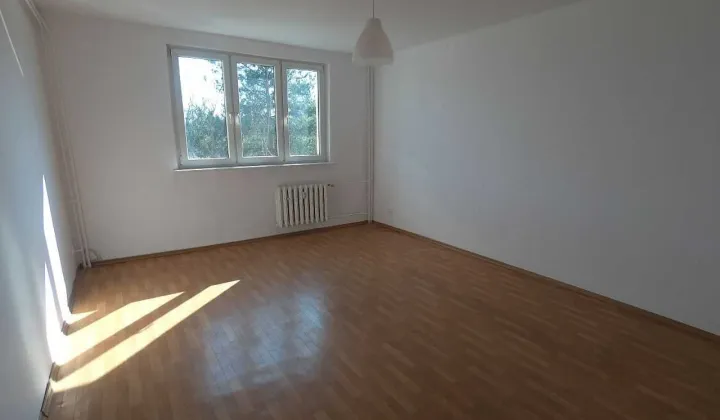 Mieszkanie 2-pokojowe Koło, ul. Tulipanowa