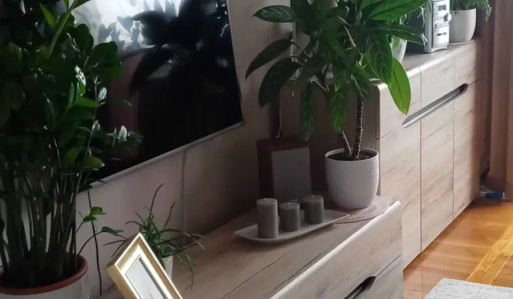 Mieszkanie 2-pokojowe Zamość