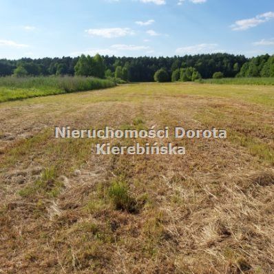 Działka rekreacyjna Zakościele. Zdjęcie 2