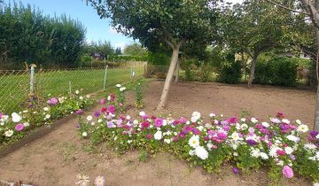 Działka rod Niekłonice