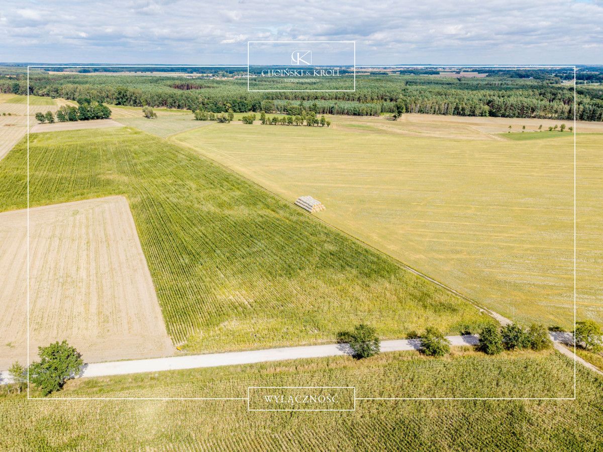 Działka budowlana Niechłód. Zdjęcie 5