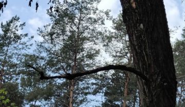 Działka budowlana Osieczna