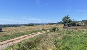 Działka budowlana Sędzisław