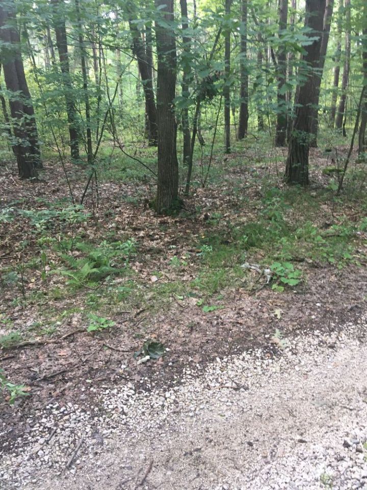 Działka rolna Bielcza. Zdjęcie 2