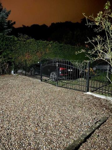 Działka rod Międzyzdroje, stokrotki. Zdjęcie 2