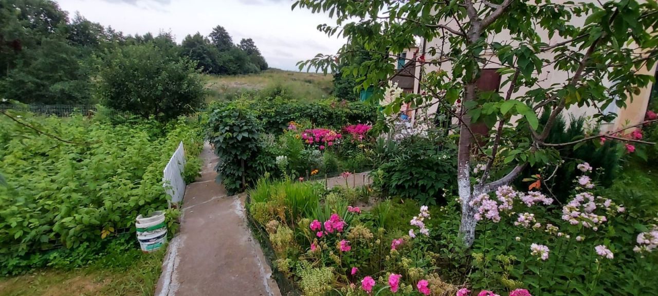 Działka rod Kołobrzeg. Zdjęcie 5