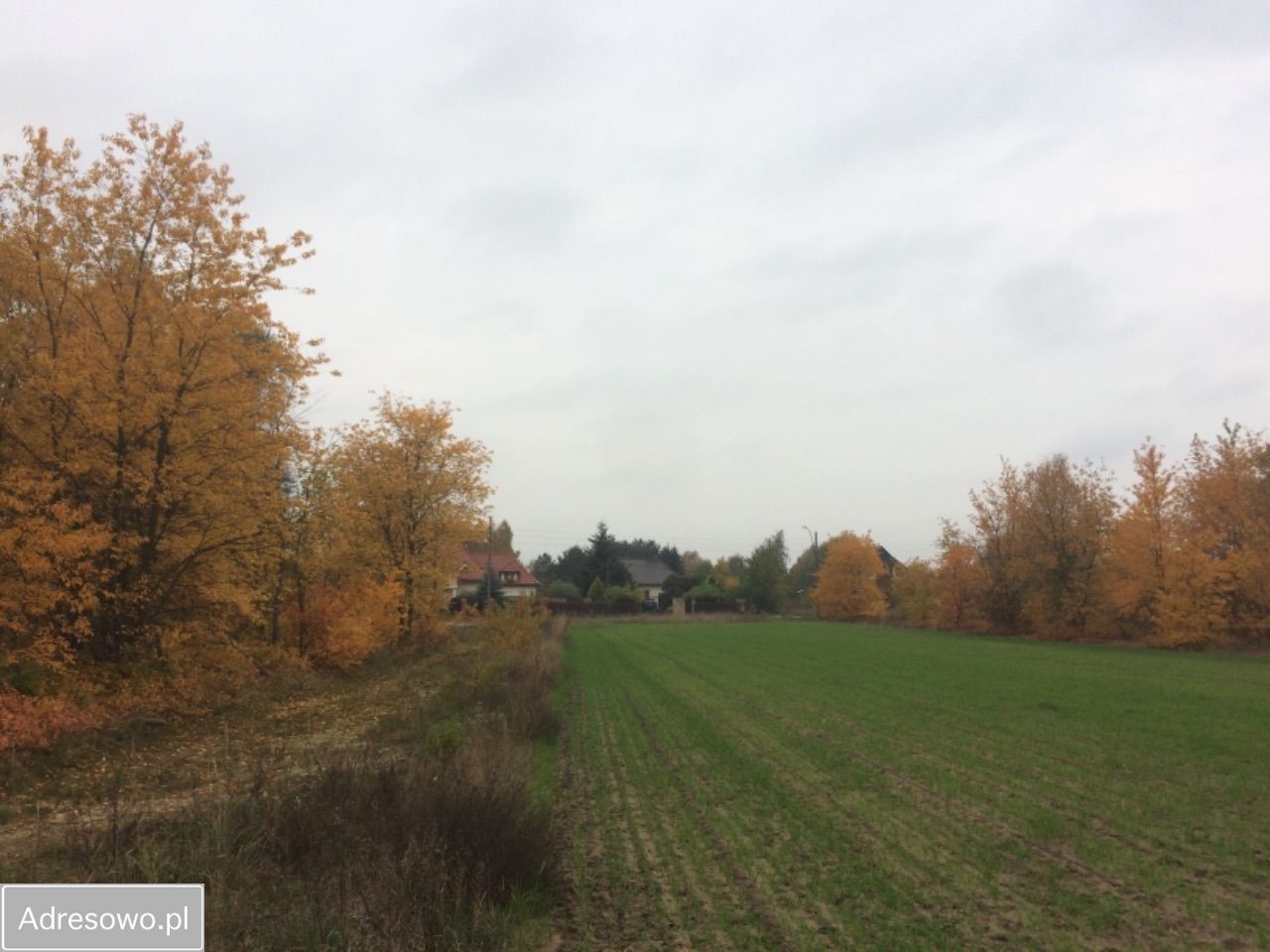 Działka budowlana Łódź Stare Złotno, ul. Stare Złotno