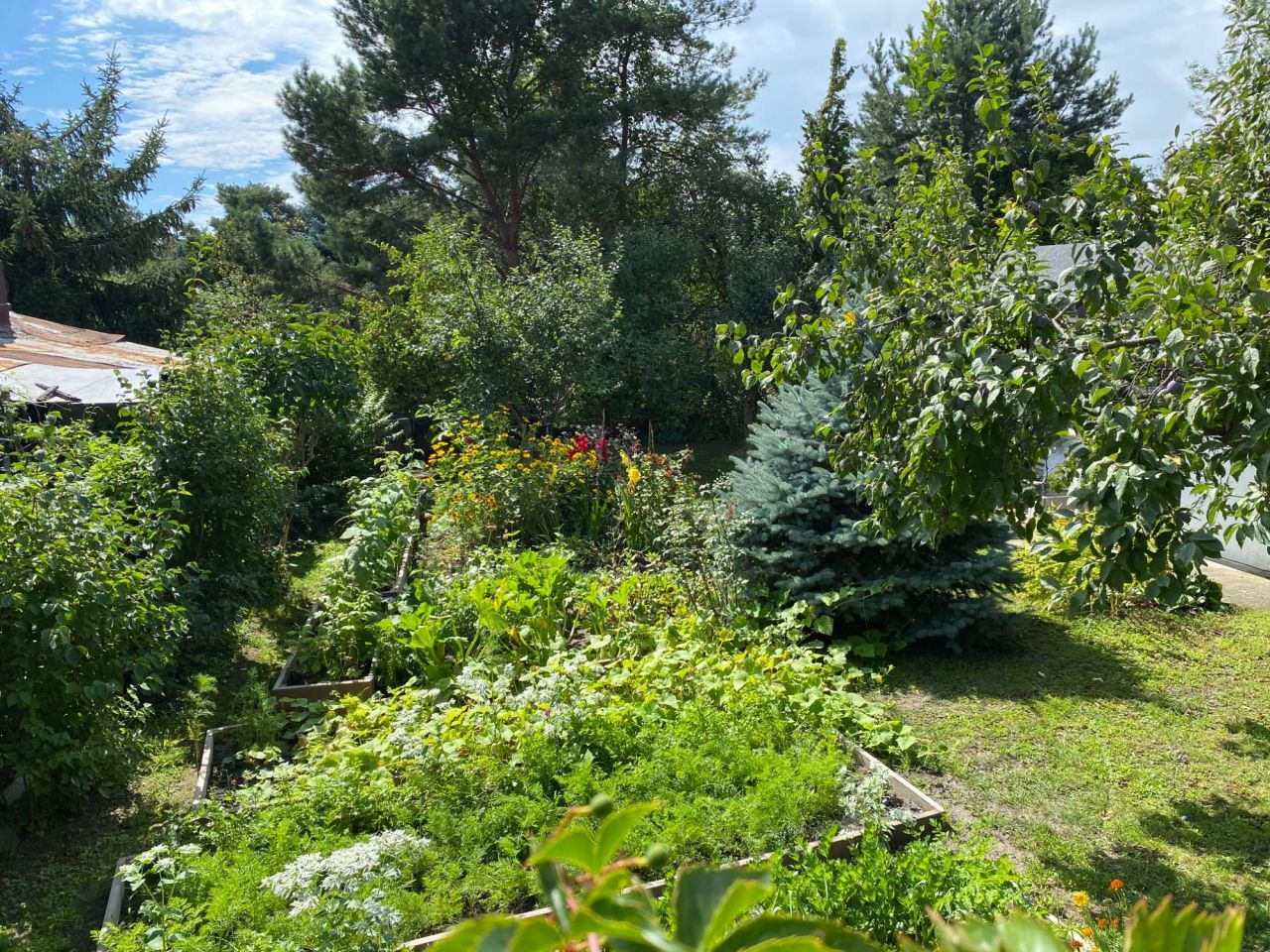 Działka rod Warszawa Żoliborz