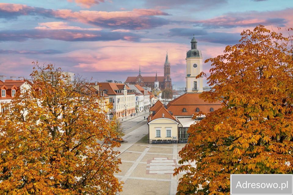 Mieszkanie 1-pokojowe Białystok Centrum, ul. Lipowa. Zdjęcie 7