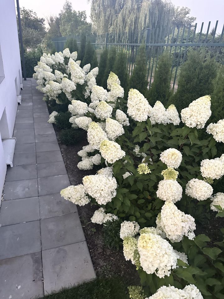 Działka rod Toruń Rudak, ul. Rudacka. Zdjęcie 7