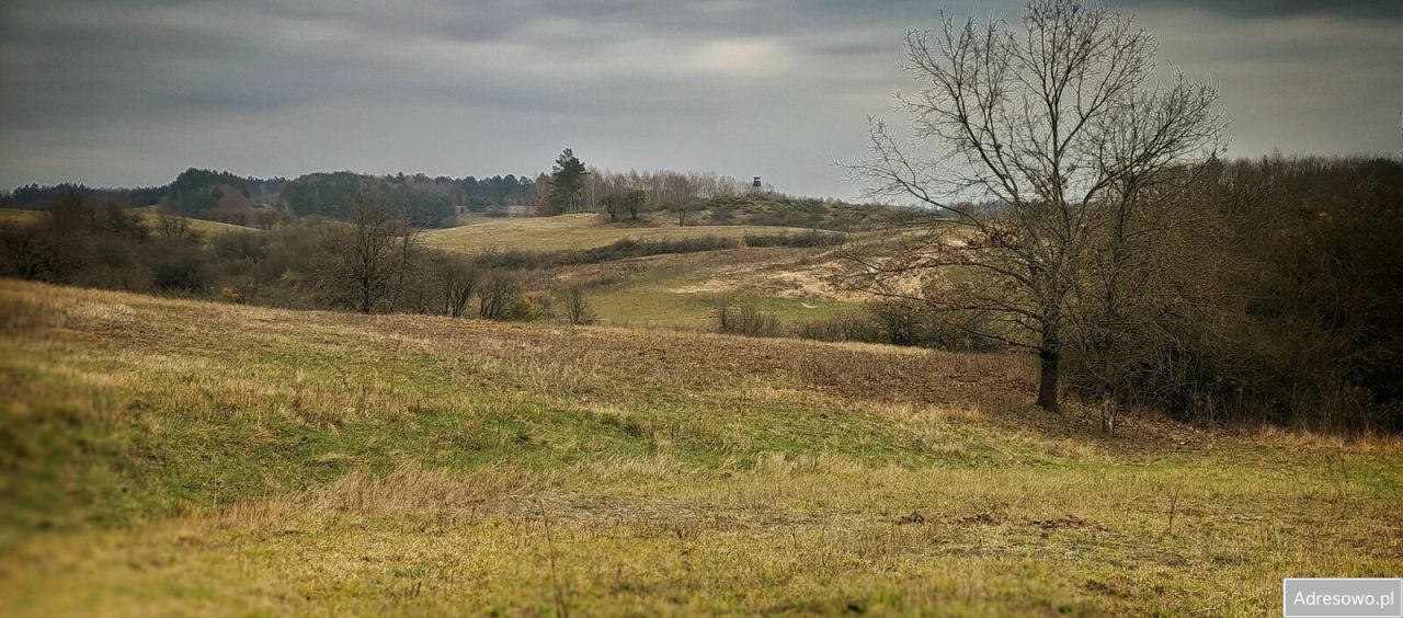Działka rolna Łęgowo. Zdjęcie 1