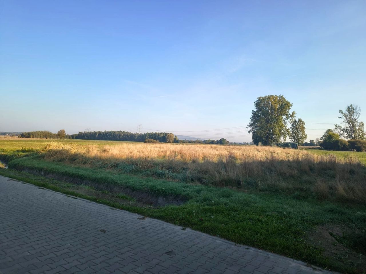 Działka budowlana Zdania. Zdjęcie 7